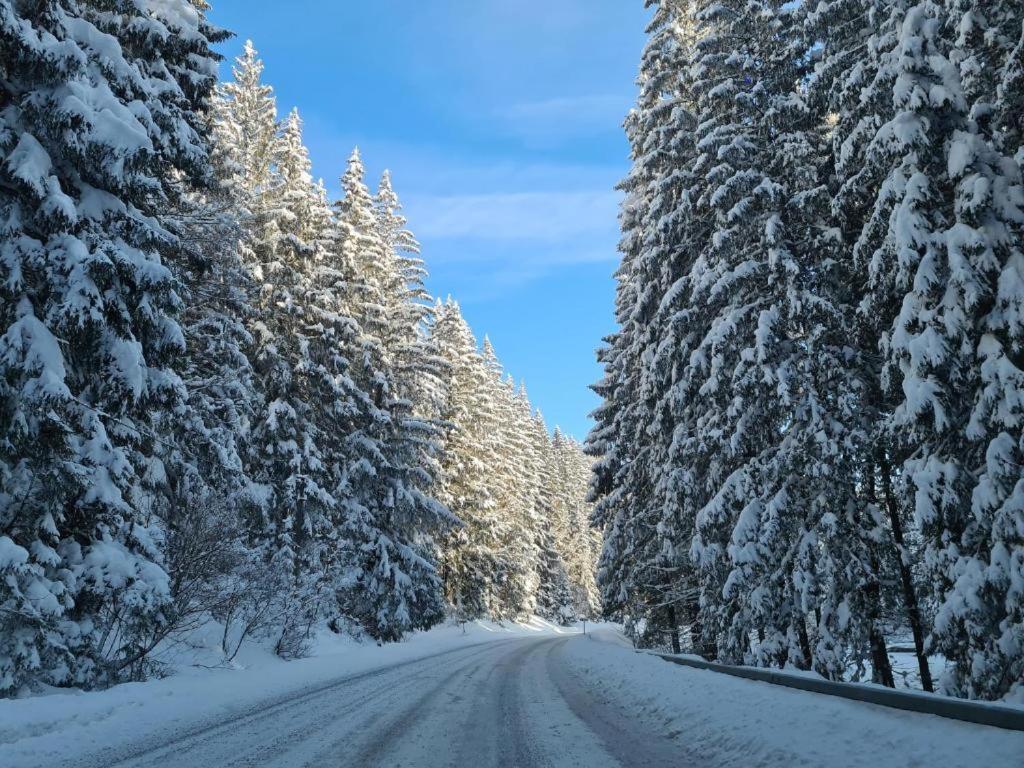 Chalet-Beskydy Простршедни Бечва Экстерьер фото